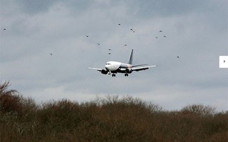 Máy bay chết động cơ hạ cánh khẩn cấp ở Nga
