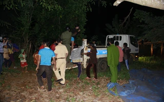 Tài xế gây thảm họa 14 người thương vong xài bằng giả