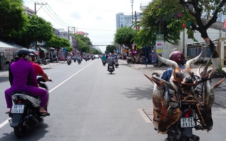 Rộ bán đầu linh dương để "trừ tà"