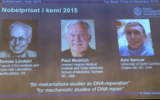Nghiên cứu về ADN lên ngôi Nobel Hóa học 2015