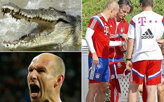 Bị chấn thương, Robben đổ thừa... cá sấu