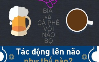 [Infographic] Ảnh hưởng của bia và cà phê lên não bộ