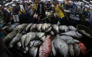“Chiến tranh cá” ở biển Đông