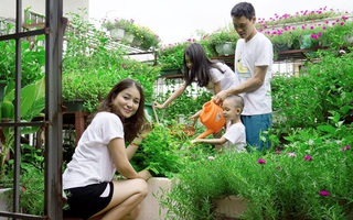 Thăm vườn rau sạch, hoa siêu đẹp giúp cả nhà gắn kết