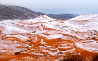 Ngây ngất cảnh tuyết rơi ở sa mạc Sahara