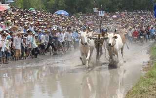 Khai thác bừa bãi “giết” du lịch miền Tây