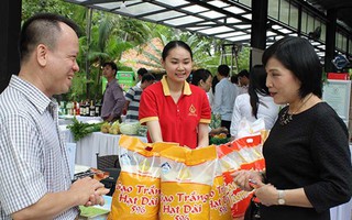 Vì sao gạo Việt bị 'đo ván' cả sân nhà lẫn sân khách?