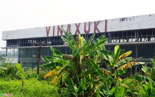 Nhà máy ô tô Vinaxuki nghìn tỉ hoen gỉ, cỏ mọc dày