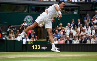 Chờ Raonic lật đổ Murray