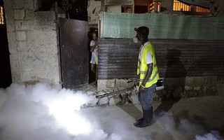 Cúm hoành hành ở Nga, Zika tiếp tục đà lây