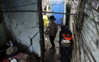 VIDEO: Cây trăm tuổi ở những ngôi nhà sắp sập