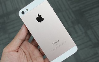 iPhone SE ruột iPhone 5 tràn ngập ở TP HCM