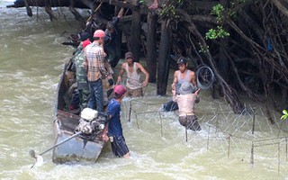 Săn cá khủng trên dòng sông chảy ngược ở Tây Nguyên