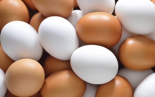 Một quả trứng ở Việt Nam chịu 14 loại phí