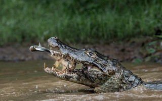 Ảnh du lịch tuyệt đẹp thắng giải National Geographic 2016