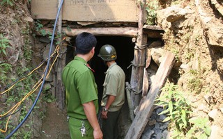 Chịu thua “vàng tặc”