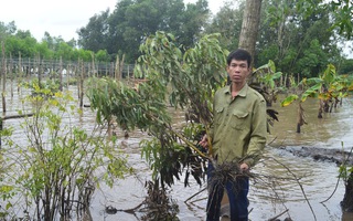 Đề xuất lấy ngân sách bồi thường cho dân