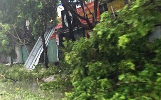 Toàn tỉnh Ninh Bình mất điện vì bão số 1