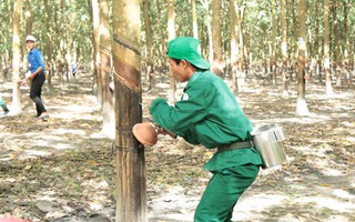 Tạo động lực cho công nhân