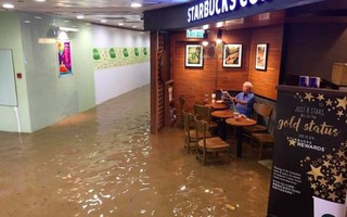 Hồng Kông phát cuồng vì cụ ông ngồi quán cafe giữa nước lụt