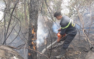 Hơn 100 ha rừng thông ở Hải Vân bị cháy rụi