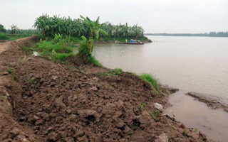 Mất đất vì “cát tặc”