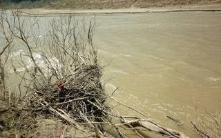 Phát hiện thi thể đang bị phân hủy bên dòng sông Thanh