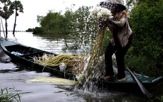 Đẹp nao lòng mùa nước nổi