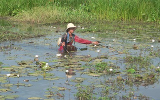 Vụ vượt biên xiệt cá ở Campuchia: Thêm nạn nhân tử vong