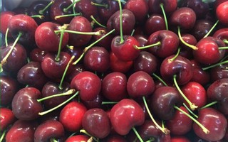 Ma trận quả cherry: Hàng Tàu "đột lốt" Mỹ, Canada...