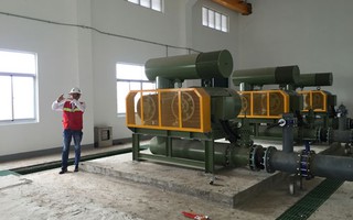 Vội vàng “đón” nhà máy giấy Trung Quốc
