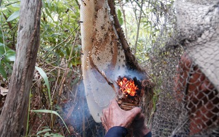 Sự thật về mật ong U Minh Hạ pha đường