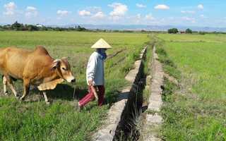 “Kiên cố hóa” sao quá... sơ sài!