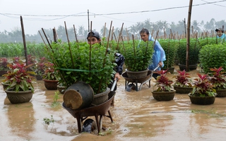 Quảng Ngãi: Nhiều hồ chứa đồng loạt xả lũ, hạ du ngập nặng