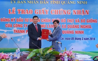 Dự án nuôi bò 40.000 con được cấp phép trong vòng 3 giờ