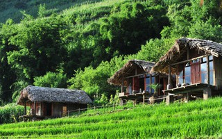 Du lịch Sapa nhớ ghé homestay siêu xinh, siêu dễ thương này nhé