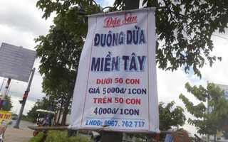 Đuông dừa miền Tây 5.000 đồng/con ở lề đường Sài Gòn