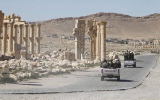 IS tái chiếm TP Palmyra