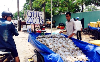 Ghẹ Vũng Tàu 'siêu rẻ' bán đầy đường Sài Gòn