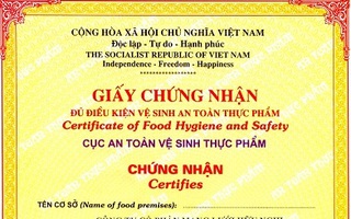 Sai phạm chất chồng ở Chi cục An toàn vệ sinh thực phẩm TPHCM