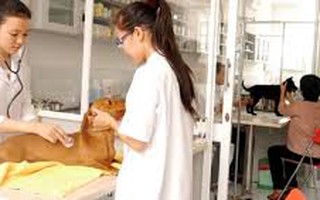 24 kỹ sư đầu tiên của chương trình tiên tiến ngành thú y