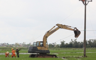 Sửa đường điện sau bão số 1, một công nhân thiệt mạng