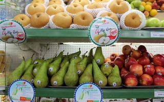 Nhiều loại trái cây nhập khẩu bán tại Satrafoods