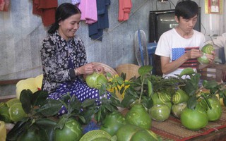 Trắng đêm đóng hàng ở “Vương quốc bưởi hồ lô”