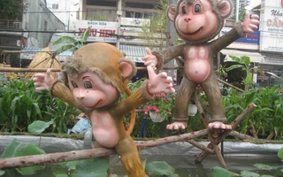 Thích thú với khỉ đi cầu khỉ ở đường hoa Cần Thơ