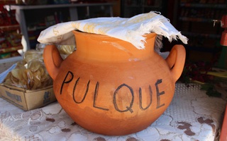 Pulque - thứ rượu 'dâm đãng' dành cho đàn ông đích thực