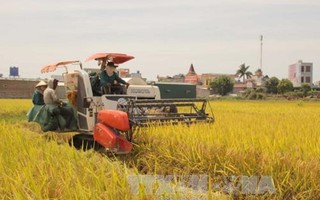 Vì sao người Việt lại chọn gạo Campuchia?