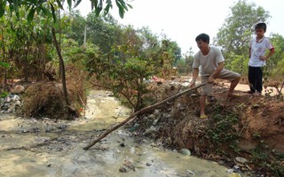 "Đầu độc" người dân, công ty bao cao su bị phạt 264,7 triệu đồng