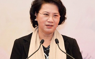 4-5 nơi xin Chủ tịch QH Nguyễn Thị Kim Ngân về ứng cử