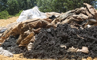 Chính phủ yêu cầu kiểm tra việc chôn rác thải của Formosa